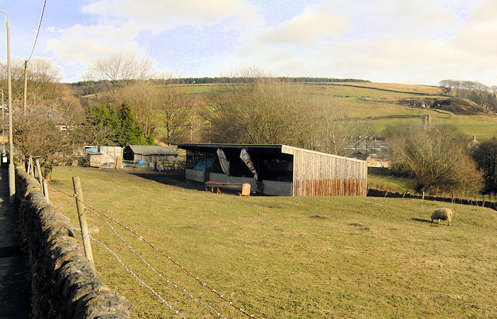 Franks Farm