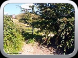 Entrance from Charles lane to low quarry